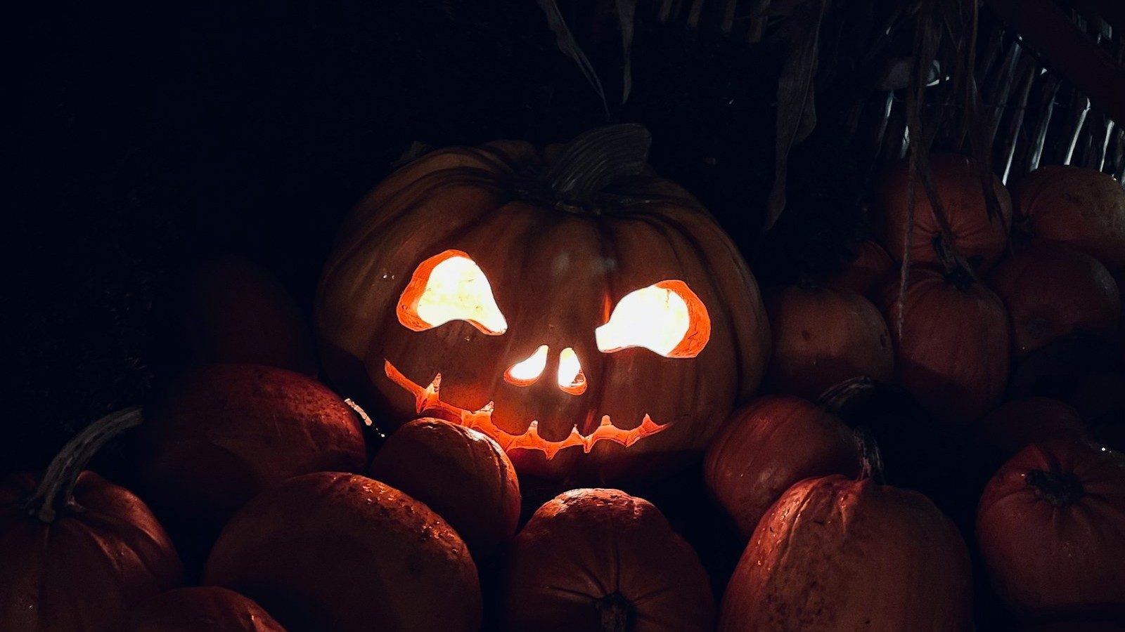 Featured image: Horror Movies to Watch This Halloween on Netflix, Prime Video and Disney+